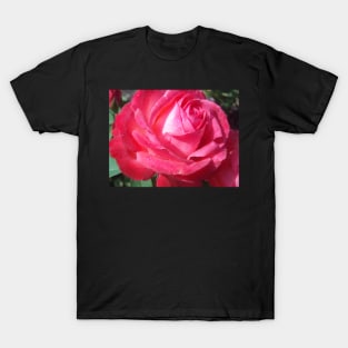 Bright Sun Hot Pink Rose Photo Print And Others T-Shirt